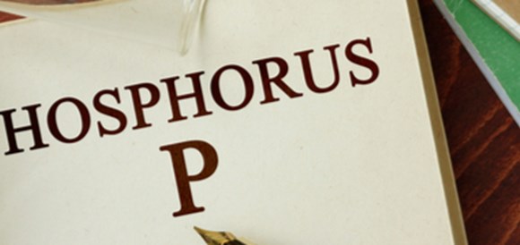 בדיקת רמת הזרחן בדם (Phosphorus) - תמונה